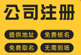 哥俩合伙开公司，一个出钱一个出力，股份咋分？